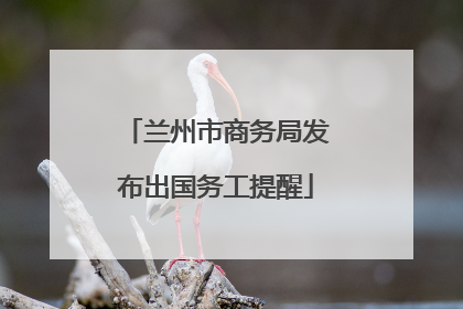 兰州市商务局发布出国务工提醒