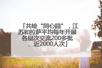 共绘“同心圆”，江苏和拉萨平均每年开展各层次交流200多批、近2000人次