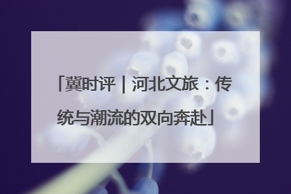 冀时评｜河北文旅：传统与潮流的双向奔赴