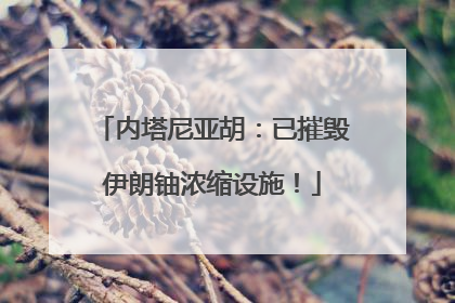 内塔尼亚胡：已摧毁伊朗铀浓缩设施！