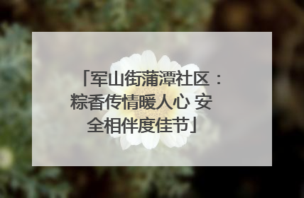 军山街蒲潭社区：粽香传情暖人心 安全相伴度佳节