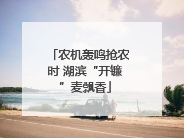 农机轰鸣抢农时 湖滨“开镰”麦飘香