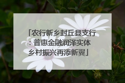 农行新乡封丘县支行：普惠金融润泽实体 乡村振兴再添新翼