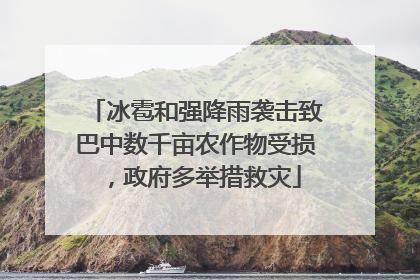 冰雹和强降雨袭击致巴中数千亩农作物受损，政府多举措救灾