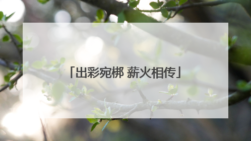 出彩宛梆 薪火相传
