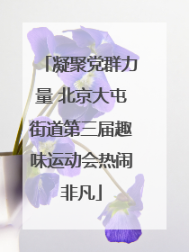 凝聚党群力量 北京大屯街道第三届趣味运动会热闹非凡