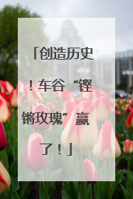 创造历史！车谷“铿锵玫瑰”赢了！