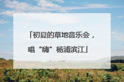 初夏的草地音乐会，唱“嗨”杨浦滨江
