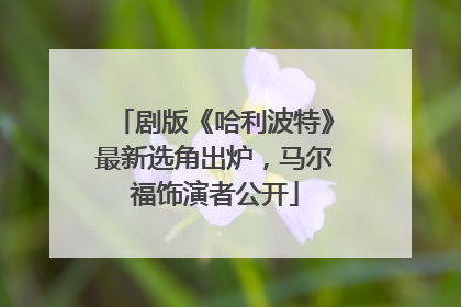 剧版《哈利波特》最新选角出炉，马尔福饰演者公开