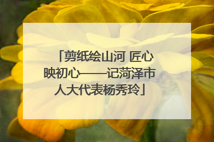 剪纸绘山河 匠心映初心——记菏泽市人大代表杨秀玲