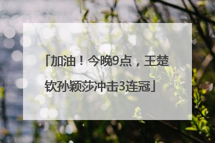 加油！今晚9点，王楚钦孙颖莎冲击3连冠