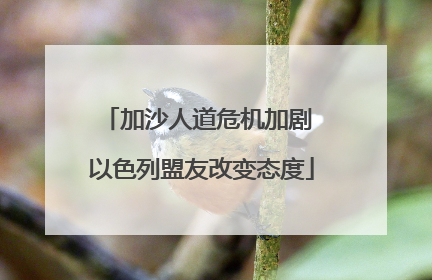 加沙人道危机加剧 以色列盟友改变态度