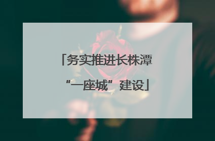 务实推进长株潭“一座城”建设