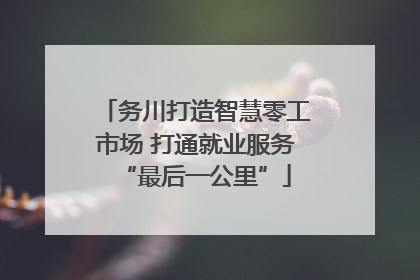 务川打造智慧零工市场 打通就业服务“最后一公里”