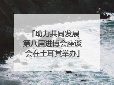 助力共同发展 第八届进博会座谈会在土耳其举办