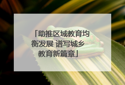 助推区域教育均衡发展 谱写城乡教育新篇章