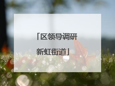 区领导调研新虹街道