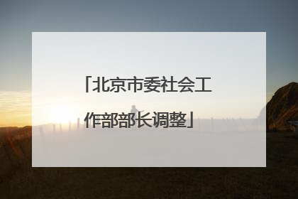 北京市委社会工作部部长调整
