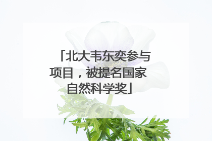 北大韦东奕参与项目，被提名国家自然科学奖