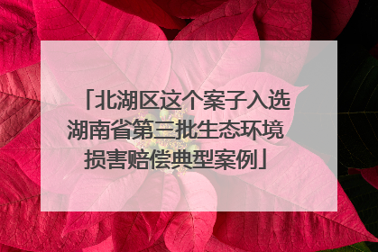 北湖区这个案子入选湖南省第三批生态环境损害赔偿典型案例