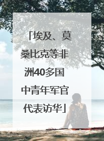 埃及、莫桑比克等非洲40多国中青年军官代表访华