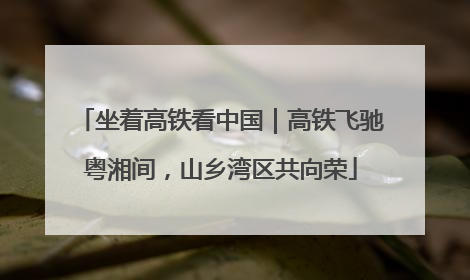 坐着高铁看中国｜高铁飞驰粤湘间，山乡湾区共向荣