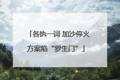 各执一词 加沙停火方案陷“罗生门”