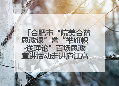 合肥市“皖美合谐思政课”暨“举旗帜·送理论”百场思政宣讲活动走进庐江高新实验学校