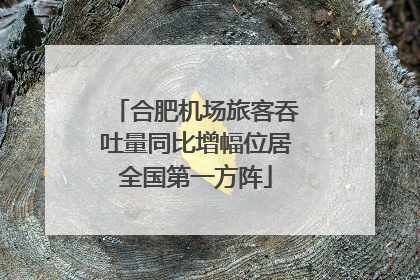 合肥机场旅客吞吐量同比增幅位居全国第一方阵