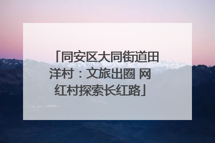 同安区大同街道田洋村：文旅出圈 网红村探索长红路