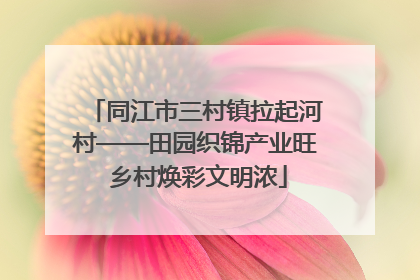 同江市三村镇拉起河村——田园织锦产业旺 乡村焕彩文明浓