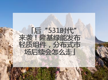后“531时代”来袭！隆基绿能发布轻质组件，分布式市场后续会怎么走