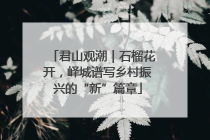 君山观潮｜石榴花开，峄城谱写乡村振兴的“新”篇章