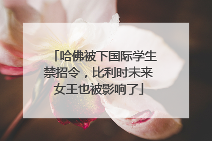 哈佛被下国际学生禁招令，比利时未来女王也被影响了