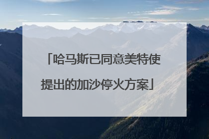 哈马斯已同意美特使提出的加沙停火方案