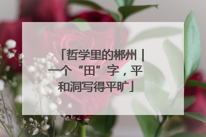 哲学里的郴州｜一个“田”字，平和洞写得平旷