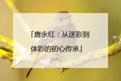 唐永红：从迷彩到体彩的初心传承