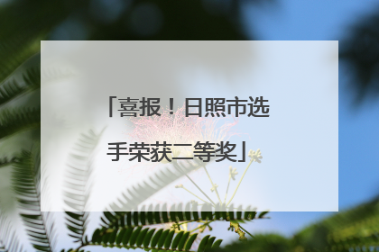 喜报！日照市选手荣获二等奖
