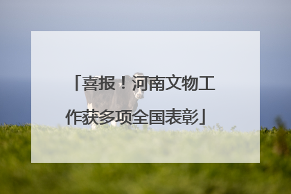 喜报！河南文物工作获多项全国表彰