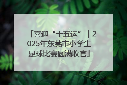喜迎“十五运”｜2025年东莞市小学生足球比赛圆满收官