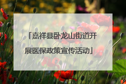 嘉祥县卧龙山街道开展医保政策宣传活动