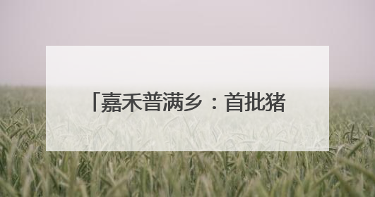嘉禾普满乡：首批猪肚菇菌棒入棚 “小蘑菇”撑起致富伞