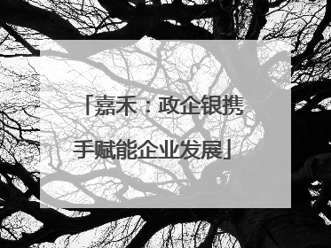 嘉禾：政企银携手赋能企业发展