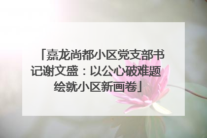 嘉龙尚都小区党支部书记谢文盛：以公心破难题 绘就小区新画卷