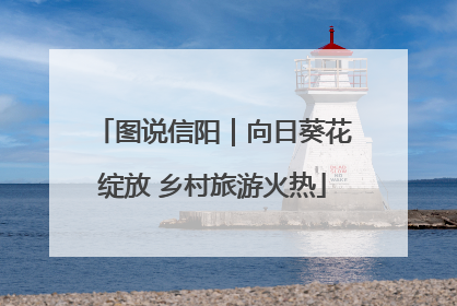 图说信阳｜向日葵花绽放 乡村旅游火热