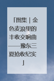 图集｜金色麦浪里的丰收交响曲——豫东三夏抢收纪实