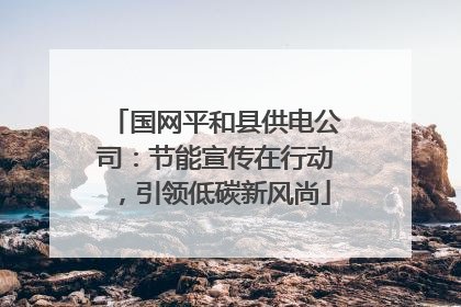 国网平和县供电公司：节能宣传在行动，引领低碳新风尚
