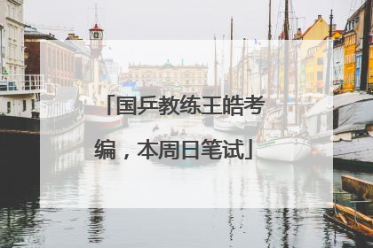 国乒教练王皓考编，本周日笔试