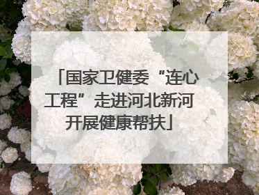 国家卫健委“连心工程”走进河北新河开展健康帮扶