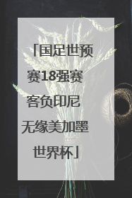 国足世预赛18强赛客负印尼 无缘美加墨世界杯